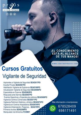 Curso de Vigilante de Seguridad en Granada - Technology College