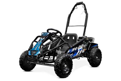 La gasolina 4 tiempos de 200cc de Karts de carreras para la venta, off road  Buggy para adultos - China La gasolina y Karts Karting 200cc precio