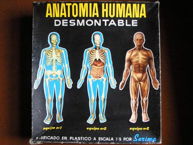 Cuerpo Humano Desmontable