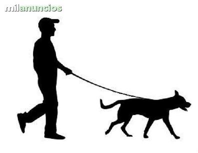 Hectáreas Relámpago Dispuesto MILANUNCIOS | Paseador perros barcelona. Anuncios para comprar y vender de  segunda mano