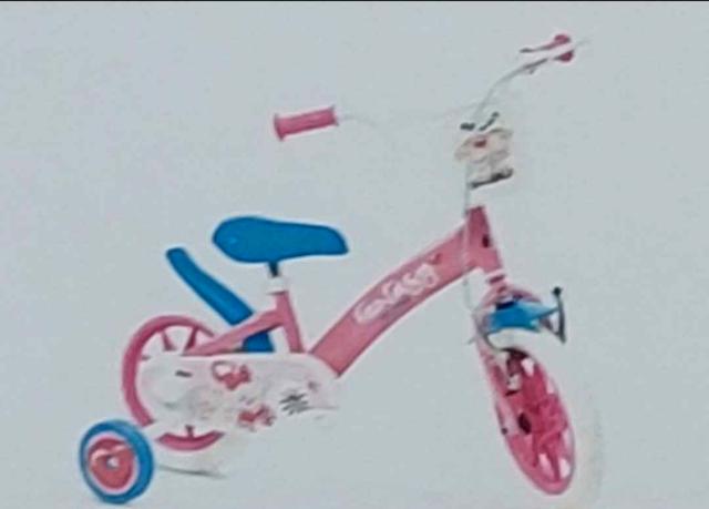 Bicicleta Infantil Fantasy 14
