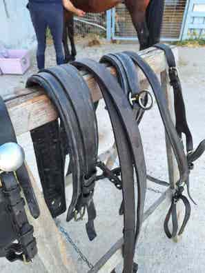 cabezadas-mulas-milanuncios