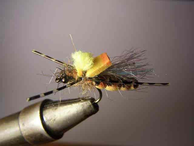 Pesca A Mosca Della Trota In Primavera, Periodo Brachy - Foto 2