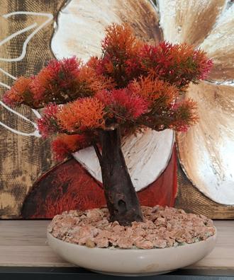 Bonsai artificial pino japones, Bonsais plastico