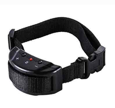 Collares perros Artículos caza de segunda mano baratos | Milanuncios