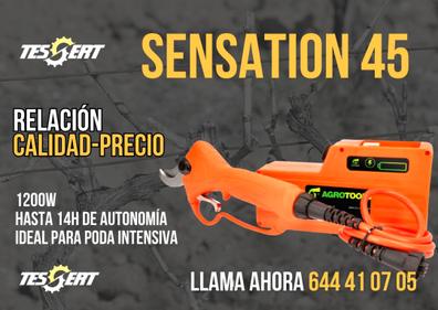 ASA85 Tijera de poda Profesional Stihl de Batería Ion-Litio