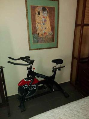 Bicicleta spinning discount dkn racer pro