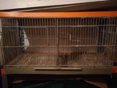 Jaulas canarios Mascotas en adopción y de de segunda mano baratos | Milanuncios