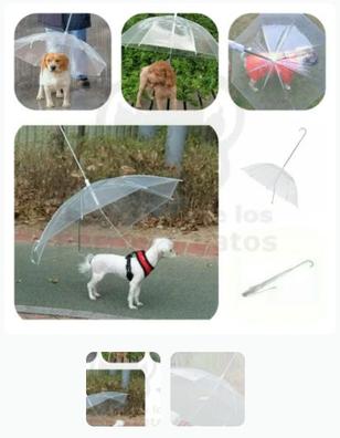 Paraguas Mascotas en adopción accesorios de mascota segunda mano baratos |