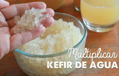 Kefir de leche en malaga | Milanuncios