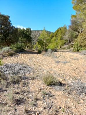 Terreno para caravana Parccelas en venta y alquiler en Baleares