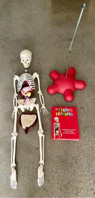 Erase Una Vez El Cuerpo Humano - Los huesos y el esqueleto