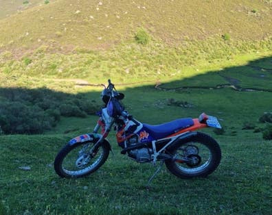 Beta - ALP 260