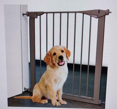 Barrera perros Mascotas en adopción y accesorios de mascota de segunda mano  baratos