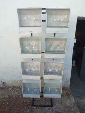 Jaulas concurso canario Mascotas en y accesorios de mascota de segunda mano baratos | Milanuncios