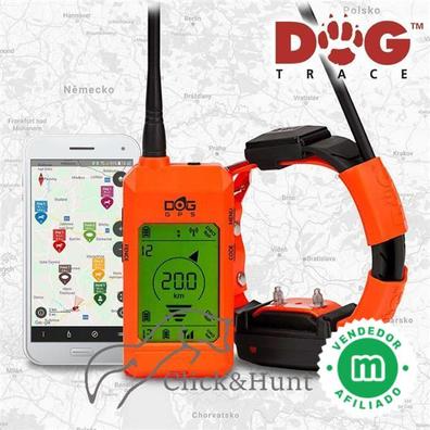 Los mejores collares GPS para perros y gatos del mercado