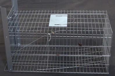 para zorros Artículos accesorios de caza | Milanuncios