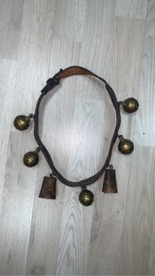 Mascotas en adopción y de mascota de segunda mano | Milanuncios