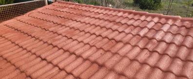 Poliuretano proyectado Reformas de tejado y fachadas baratas y ofertas en  Murcia Provincia