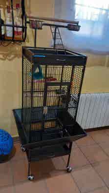 Jaulas loros Mascotas en adopción y accesorios de mascota segunda mano baratos | Milanuncios