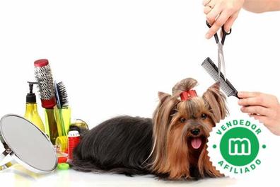 Maquina pelar perros Mascotas en adopción y accesorios de mascota de  segunda mano baratos
