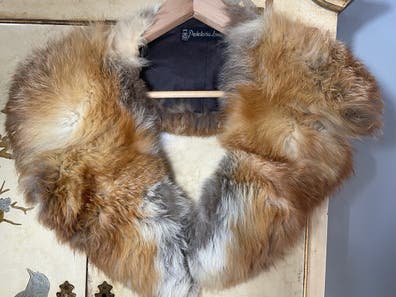 zorro. Anuncios para comprar y vender de segunda mano Milanuncios