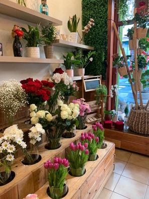 Floristeria Compra, venta y traspasos de negocios en Madrid | Milanuncios