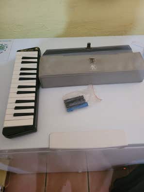 Melodica piano. Anuncios para y vender de segunda mano | Milanuncios