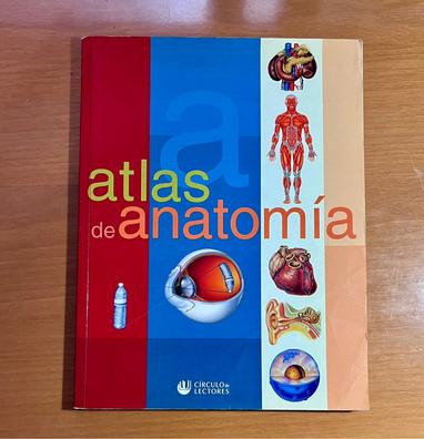 Milanuncios - Anatomia humana desmontable