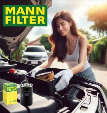 Las mejores ofertas en Para coche y camión MANN-FILTER filtros de  combustible para Land Rover
