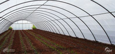 Kit De 30 Arcos Para Invernadero - Túneles Protectores Para Plantas, Con Accesorios