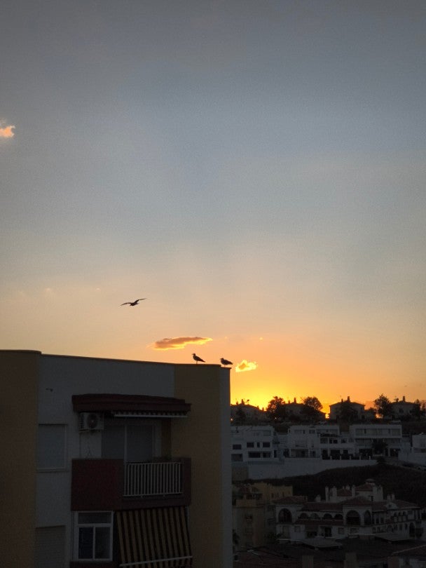 Fotografía del inmueble reportado: 600 €/mes — Torre del Mar, Torre del Mar