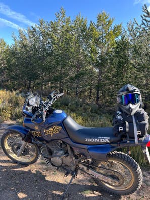 HONDA - DOMINATOR NX650