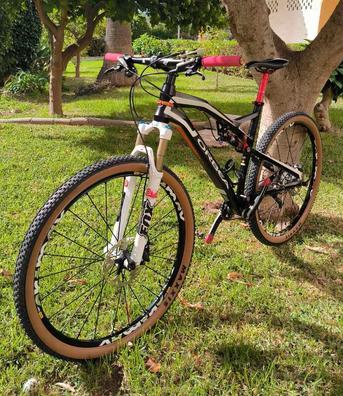 Orbea descenso online