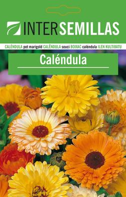 Calendula. Anuncios para comprar y vender de segunda mano | Milanuncios