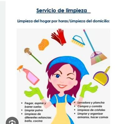 Carehogar Empleada De Hogar Por Horas