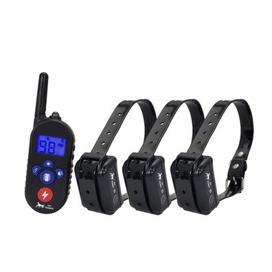 Collar adiestramiento Perros en adopción, compra de accesorios y servicios para Milanuncios