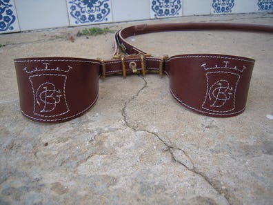 Collares perros Artículos caza de segunda mano baratos | Milanuncios