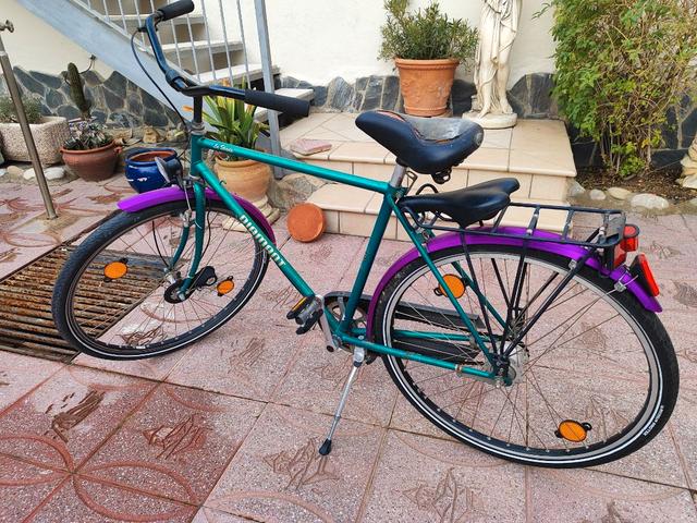 Milanuncios Bicicleta vintage Diamant Sachen