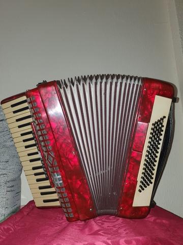 Milanuncios - Acordeon Parrot