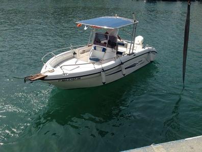 Milanuncios - Ranieri Stargate evinrude 175