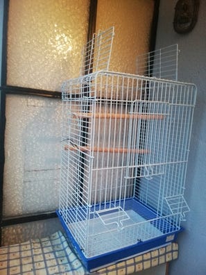 ninfa Mascotas en adopción y accesorios de mascota segunda mano |