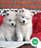 Milanuncios - SAMOYEDO