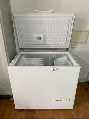 Arcón Congelador Cofri CH 650