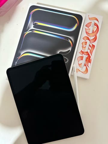 Ipad pro 11 M4 256Gb