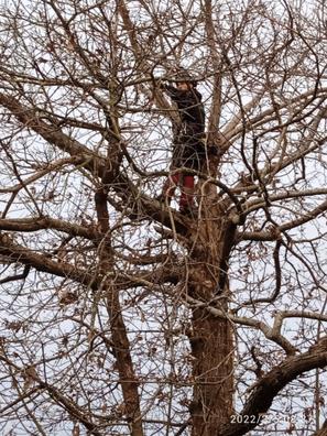 Milanuncios - árbol sujeta puertas