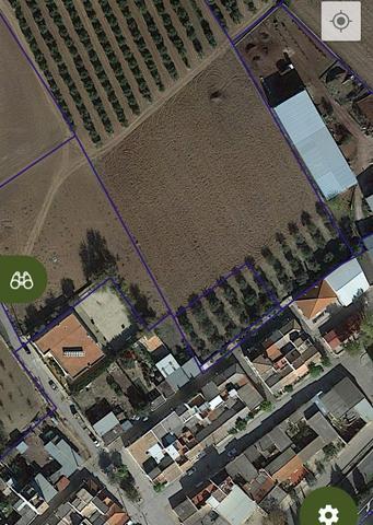 Milanuncios cerro perea C. Olivas