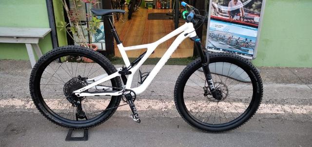 Specialized descenso 2025 segunda mano