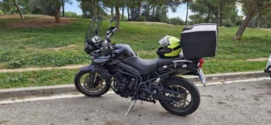 Triumph Tiger