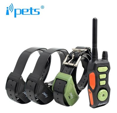 perros de caza de segunda mano Barcelona | Milanuncios